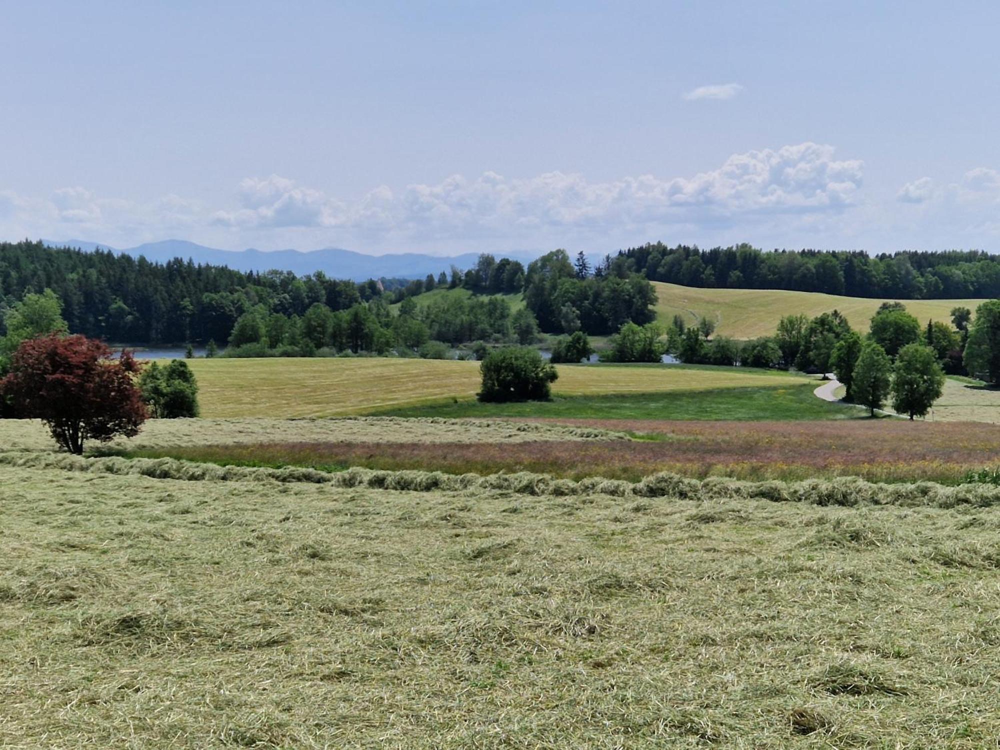 Ferienwohnung Ewigkeit - 4-Sterne Dtv Klassifiziert Leutkirch im Allgau Exterior photo