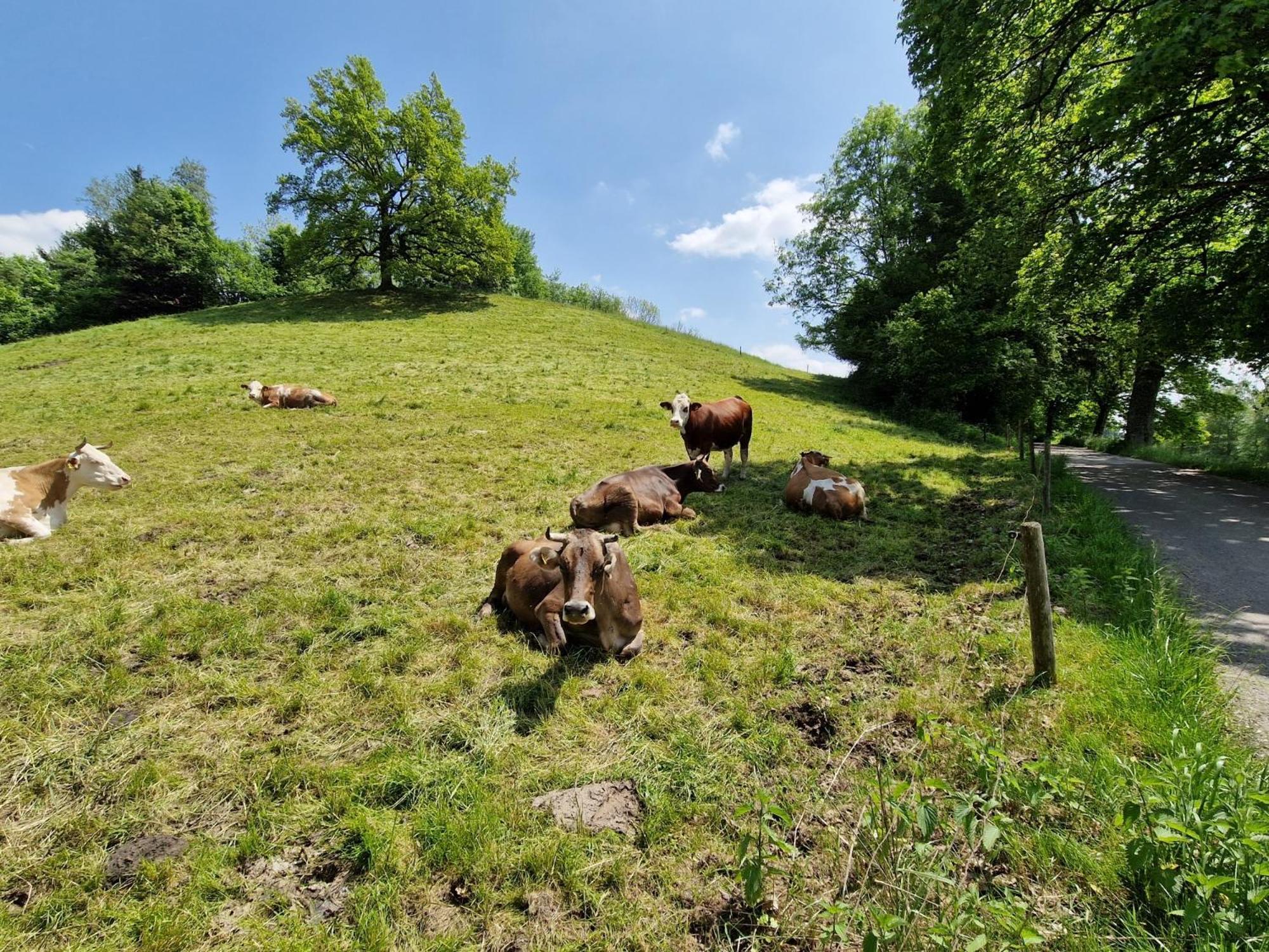 Ferienwohnung Ewigkeit - 4-Sterne Dtv Klassifiziert Leutkirch im Allgau Exterior photo