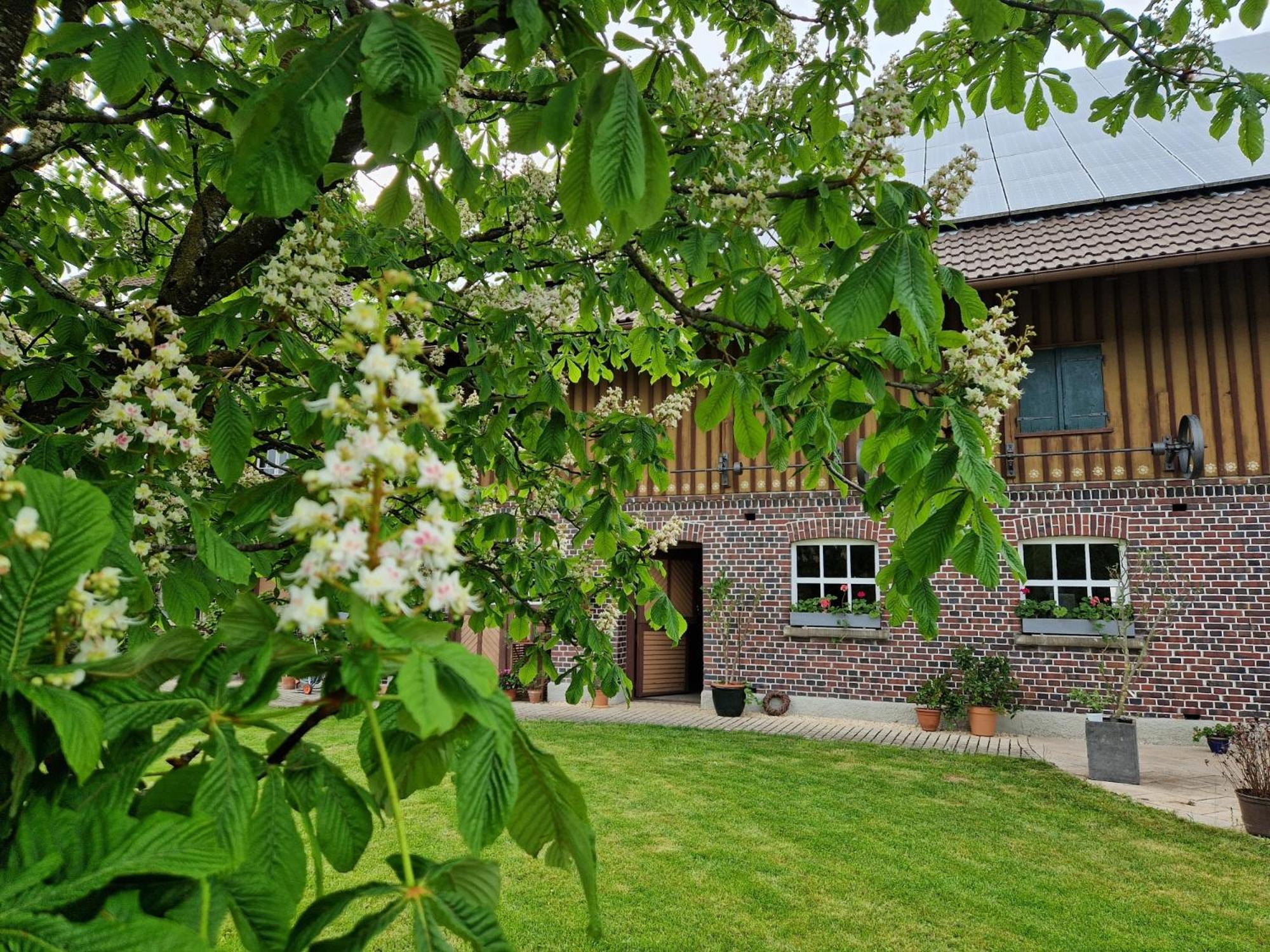 Ferienwohnung Ewigkeit - 4-Sterne Dtv Klassifiziert Leutkirch im Allgau Exterior photo